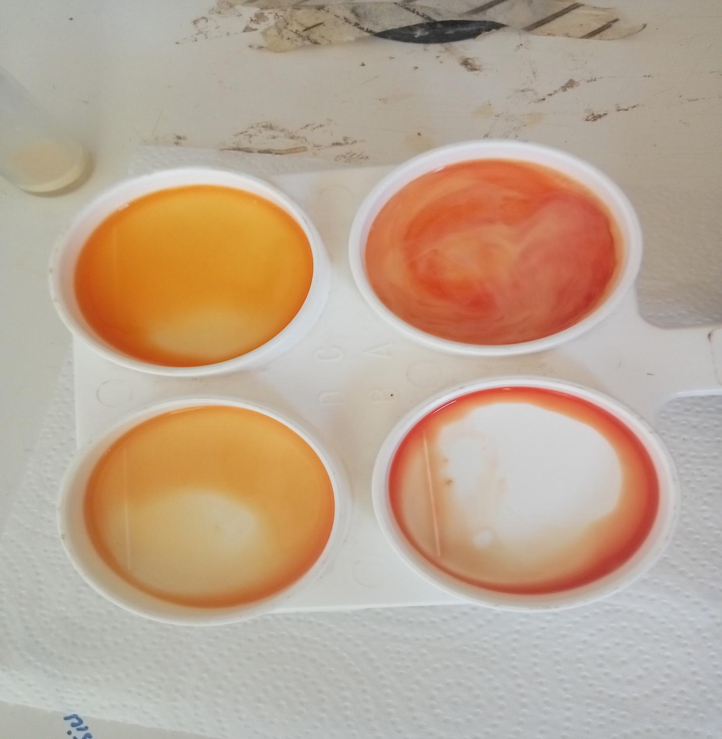 Photo of samples results of California mastitis test