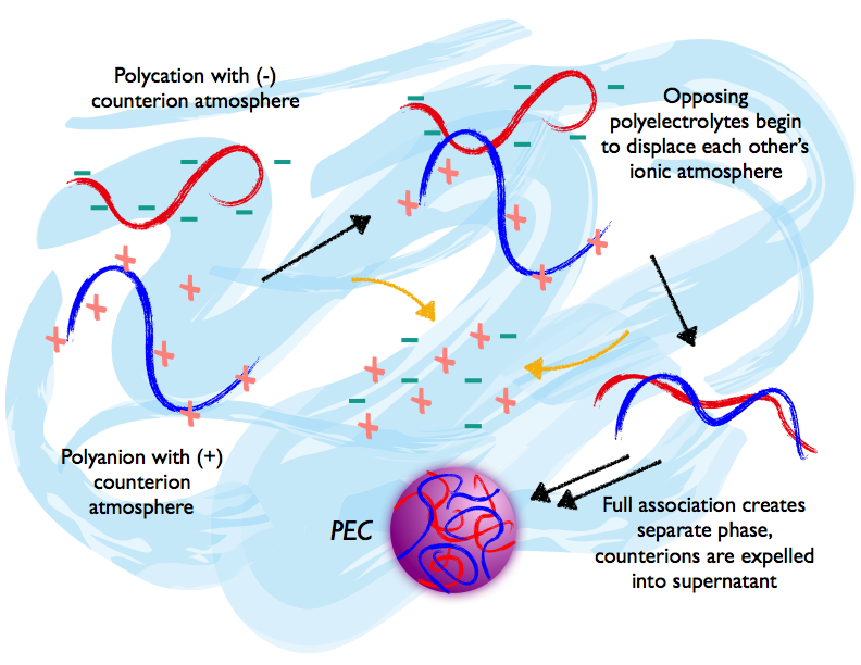 Figure 2: Mechanism of polyelectrolyte complexation.