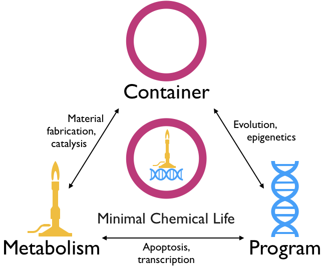 Figure 4: Criteria for minimal chemical life.