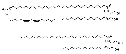 Figure 6: Schematic representation of the chemical structure of ceramides (Adapted from Wickett and Visscher, 2006)