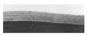 Figure 7: Normal lipid lamella at the third tape strip. (magnification, 3,200,000) (Adapted from Wickett and Visscher, 2006)