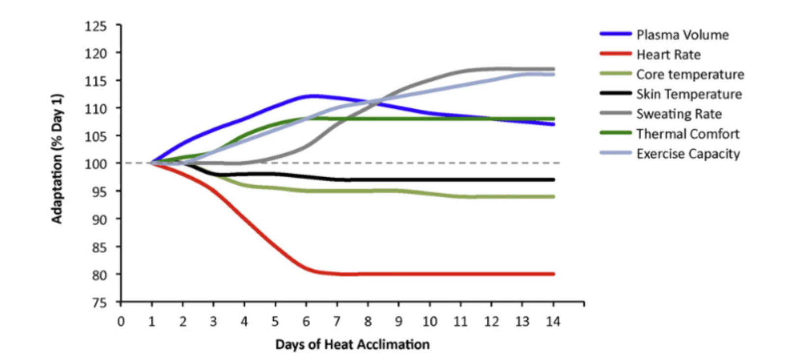 Figure 7: A 14-day time course of human adaptations and responses to heat stress (Reprinted with permission from Périard <em>et al.</em> 2015 and the publisher John Wiley and Sons)