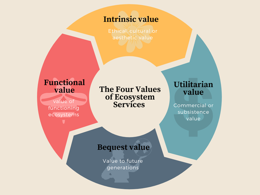 Figure 4: Chart showing the four ways of
valuing ecosystem services.