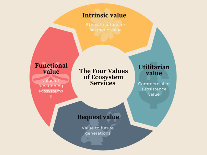 Figure 4: Chart showing the four ways of
valuing ecosystem services.