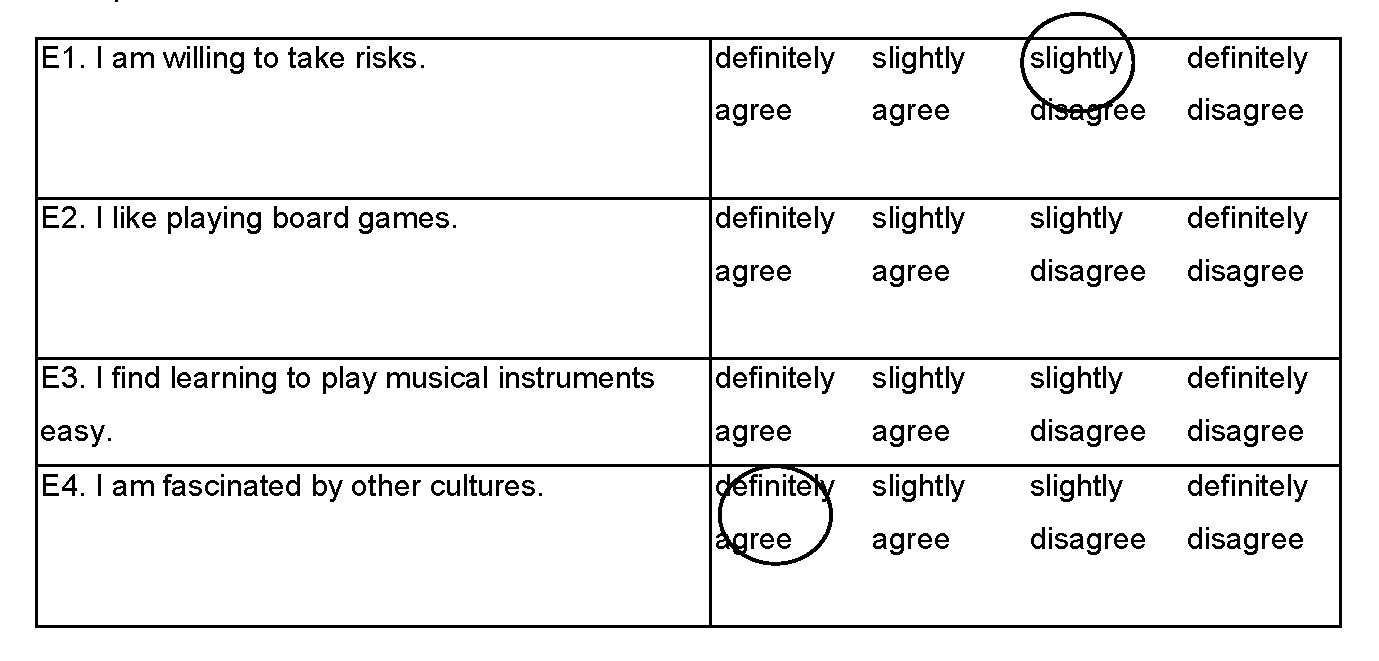 example questionnaire