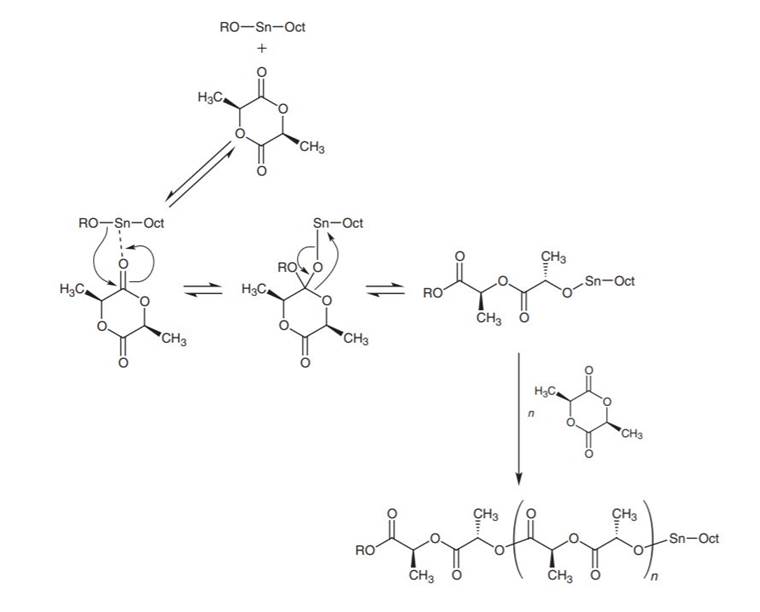 Figure 3: Ring-opening chain-growth
polymerisation to produce PLA.