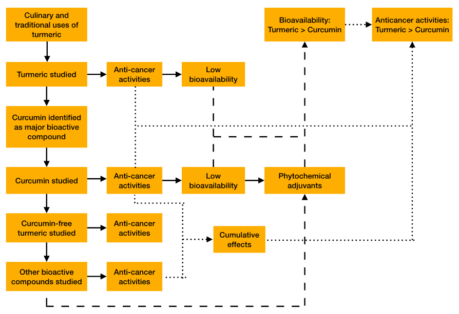 Figure 1: Graphical abstract illustrating the scope
of the review