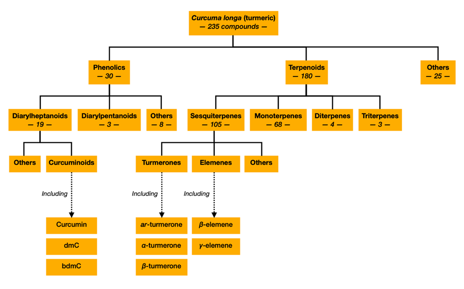 Figure 2: Compounds identified in Curcuma
longa (turmeric). Figure constructed by author, using information from (Li, 2011)