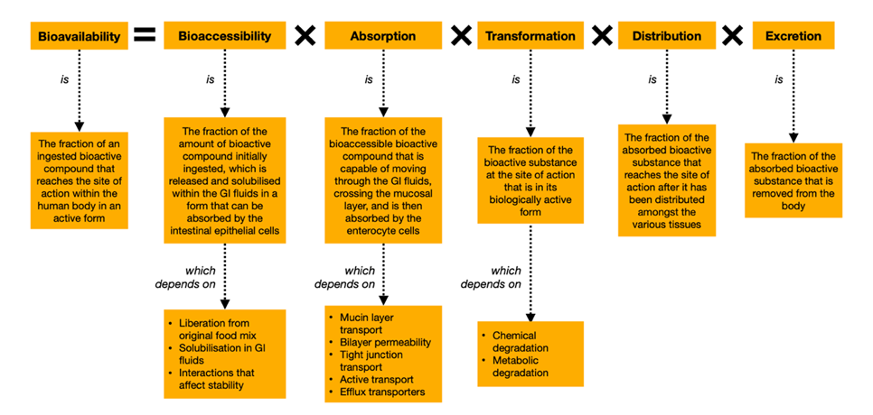 Figure 3: The five classes of factors that
contribute to the overall bioavailability of an orally administered bioactive compound, 
according to NuBACS (McClements, 2018). Figure constructed by author, using information from Sabet et al. (2021)